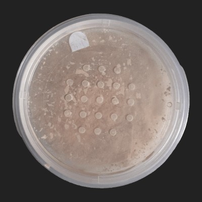 Loose Matte Powder